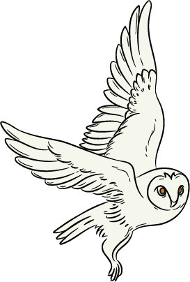 Illustration af en ugle