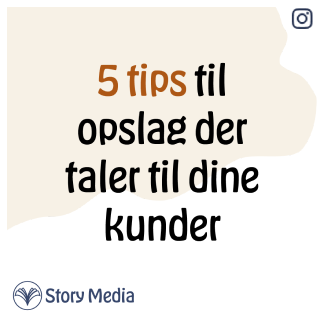 indslag fra instragram